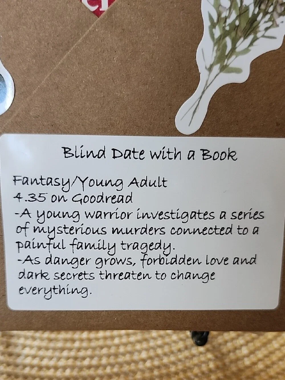 Blind Date With A Book Bundle Fantasy/Young Adult